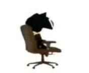 morgana shidding and farding on a spinning chair ASMR (?NSFW?) from husherx ch asmr nsfw
