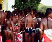 Zulu Maidens from zulu maidens camp dance no panty