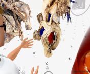 Human Anatomy in Virtual Reality: The Heart from human anatomy dissection 25