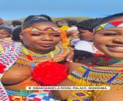 South Africa dancers from negras zulu dancers África nude total
