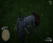 Why do standard donkey have so much health, i came across one so I lassoed it and started to punch it. 30 seconds later it was still alive so I changed to my knife and gave it another 30 seconds. After running away I throw 2 tomahawks then it died. from seconds